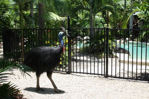 Boutique Bungalows - Yamba Accommodation 15