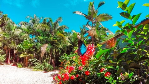 Boutique Bungalows - Yamba Accommodation 14