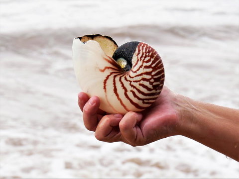 Boutique Bungalows - Yamba Accommodation 9