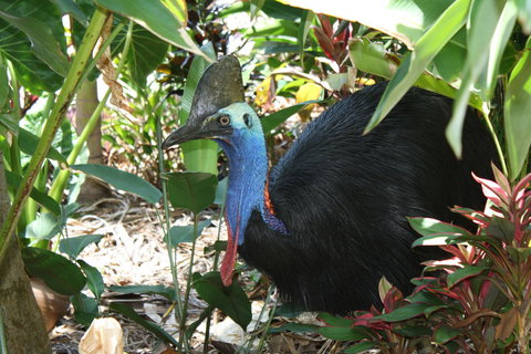 Boutique Bungalows - Yamba Accommodation 16