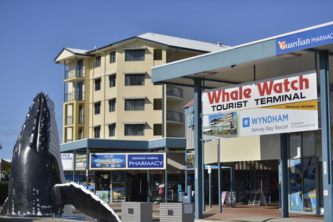 Mantra Hervey Bay - Yamba Accommodation 23