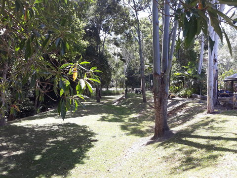 Speewah Country Tavern - Yamba Accommodation 4