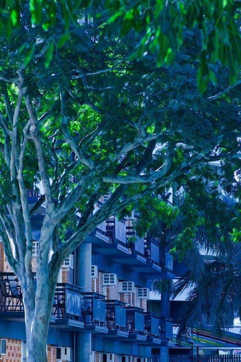 Soho Brisbane - Yamba Accommodation 12