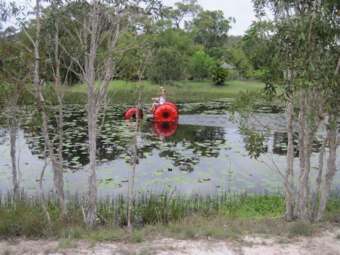 1770 Southern Cross Travellers Retreat - Yamba Accommodation 16