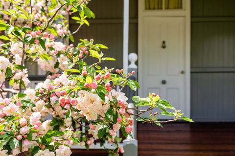 Apple Blossom Cottages - Yamba Accommodation 2