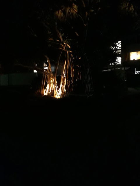 Pandanus Coolum Beach - Yamba Accommodation 8