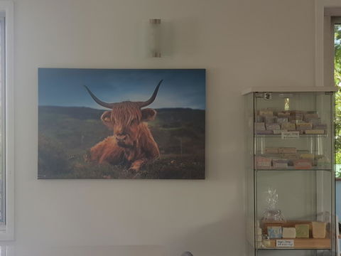 Highland House - Yamba Accommodation 4