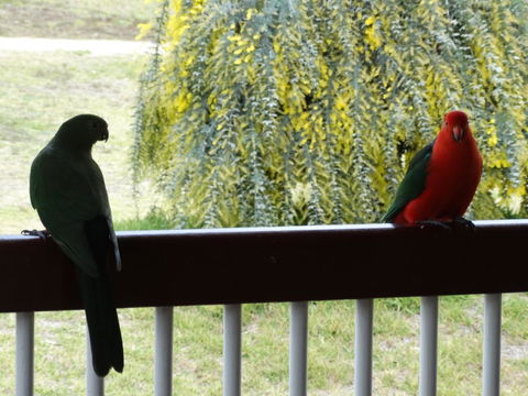 Loughmore House - Yamba Accommodation 9