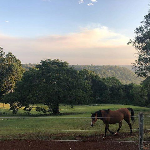 Montville Holiday Apartments - Yamba Accommodation 3