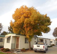 Wodonga Caravan  Cabin Park - Yamba Accommodation