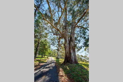 WOOLWAY - Yamba Accommodation 1