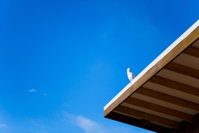 Book Waratah Bay Accommodation Vacations Yamba Accommodation Yamba Accommodation
