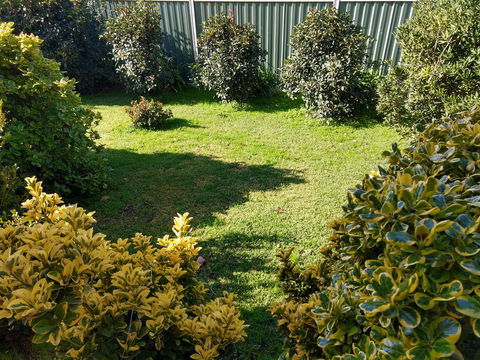 Young Goldrush Motel - Yamba Accommodation 3