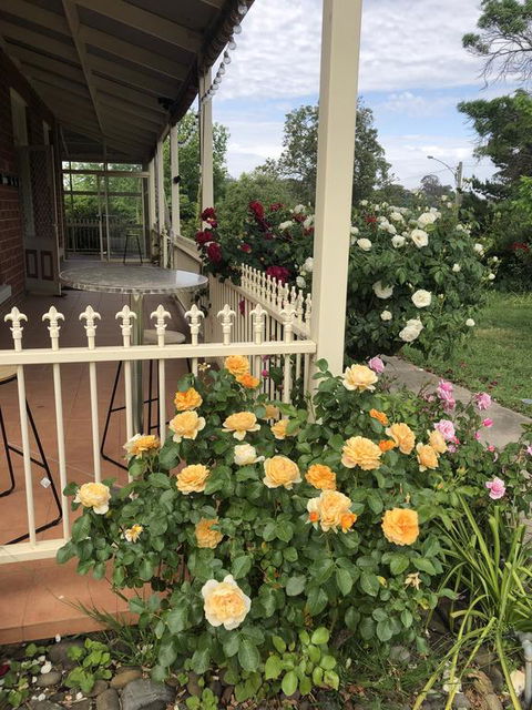 Zen Garde - Yamba Accommodation 1