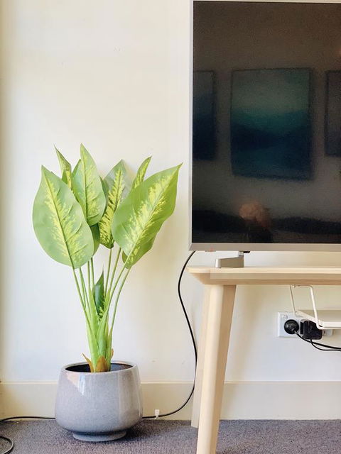ZEN Homes On Collins - Yamba Accommodation 3