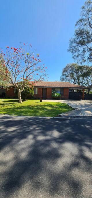 Abbey Beach Cottage - Yamba Accommodation 1