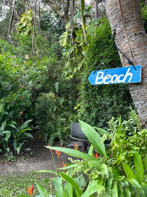 Absolute Beach Front Home -Dogs, Surf, Relax, Bush - Yamba Accommodation 2
