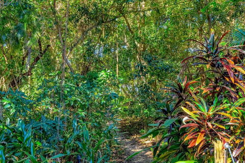 Absolute Beachfront, Heart Of Port Douglas - 24 S - Yamba Accommodation 3