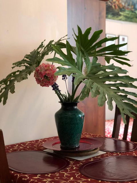 Albany Foreshore Guest House - Yamba Accommodation 2