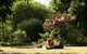 Alexandra Farmstay - thumb 0