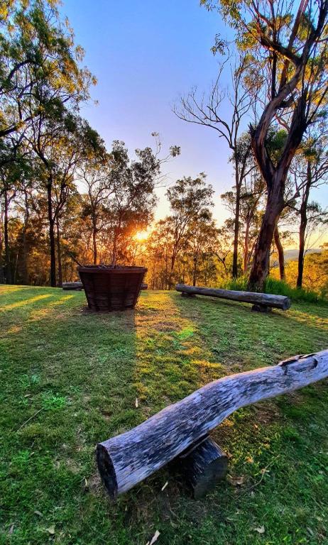 Allawah Bush Retreat - Yamba Accommodation 1