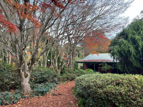 Amaroo Guesthouse - Yamba Accommodation 1