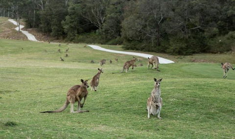 Anglesea River Apartment 22 - Yamba Accommodation 4