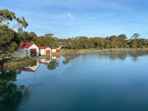 Anglesea Rivergums - Yamba Accommodation 1