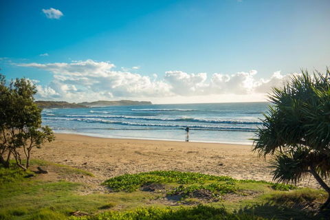 ArtHOUSE Beachfront Accommodation - Yamba Accommodation 1