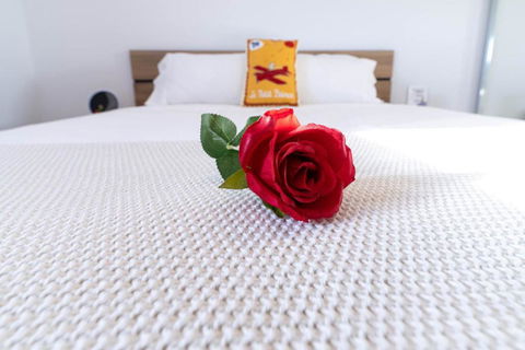 Asteroid B-612 Urban Bliss Retreat - Yamba Accommodation 4