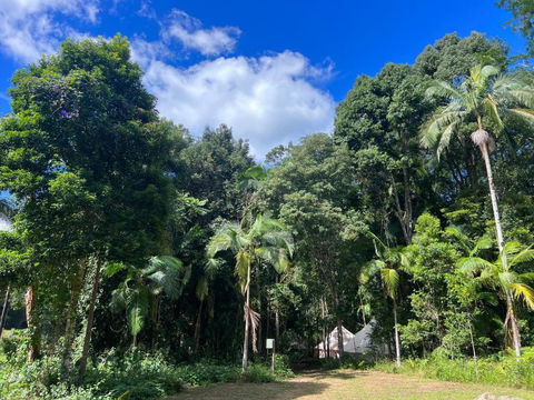 Avana Byron Glamping - Yamba Accommodation 2