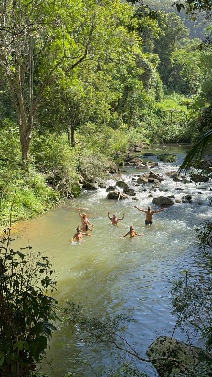 Avana Byron Glamping - Yamba Accommodation 4