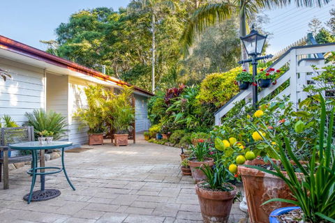 Avocado Sunset Bed & Breakfast - Yamba Accommodation 3