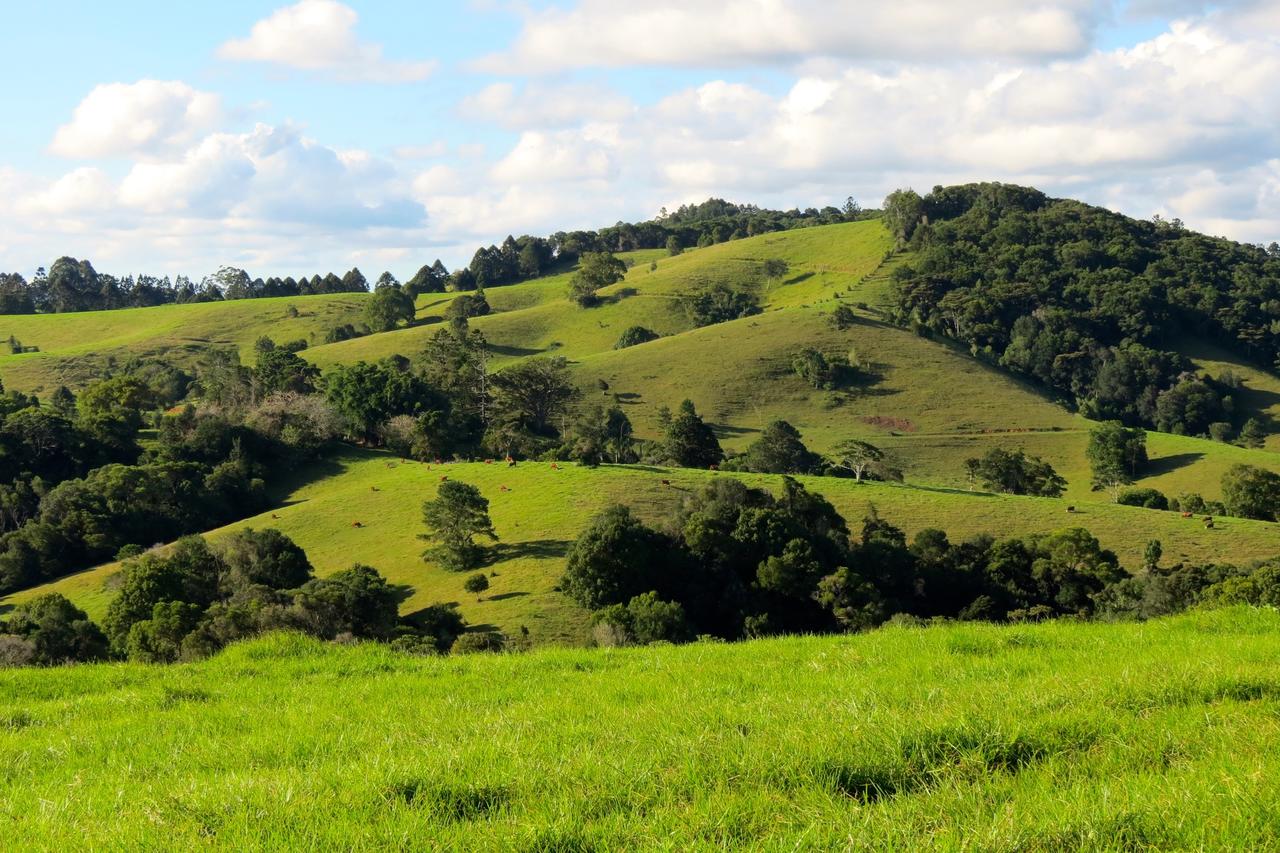 Reesville QLD Yamba Accommodation