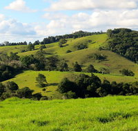 Maleny Springs Farm - Yamba Accommodation