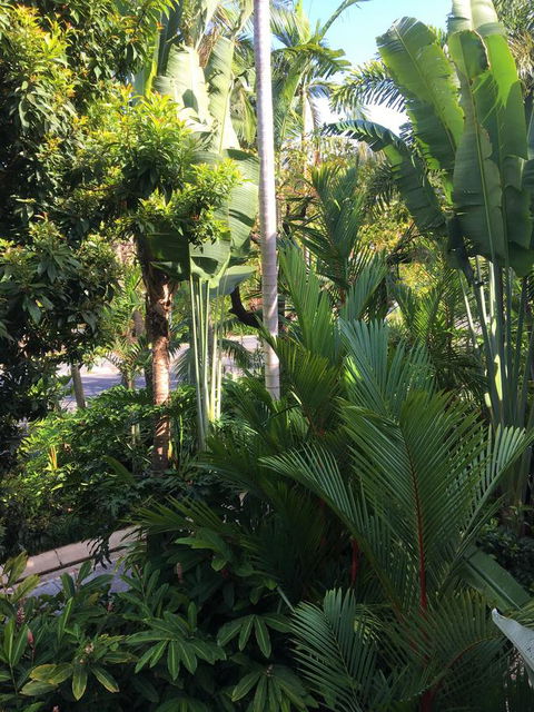 Port Douglas Apartments - Adults Only Oasis - Yamba Accommodation 1