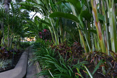 Port Douglas Apartments - Adults Only Oasis - Yamba Accommodation 9