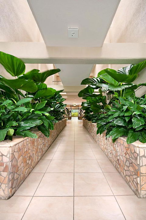 Shantara Resort Port Douglas - Adults Only Retreat - Yamba Accommodation 27