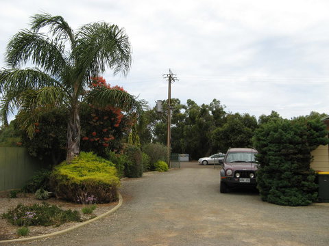 Ficifolia Lodge - Yamba Accommodation 1