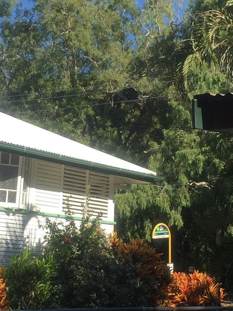 Daggoombah Holiday Home Magnetic Island - Yamba Accommodation 15