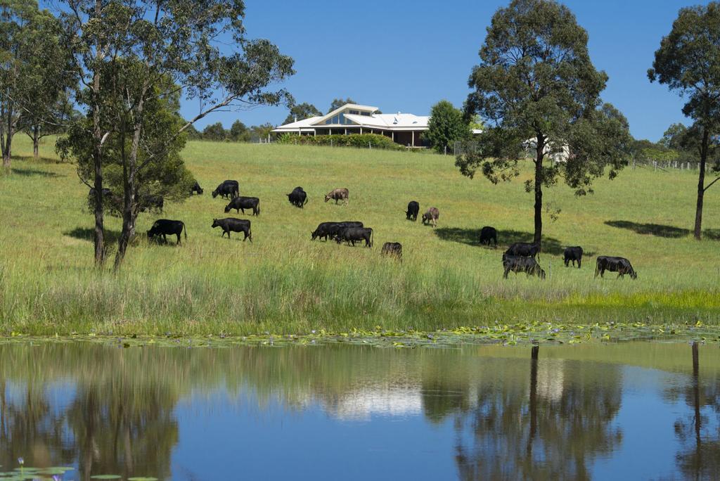Nerong NSW Yamba Accommodation