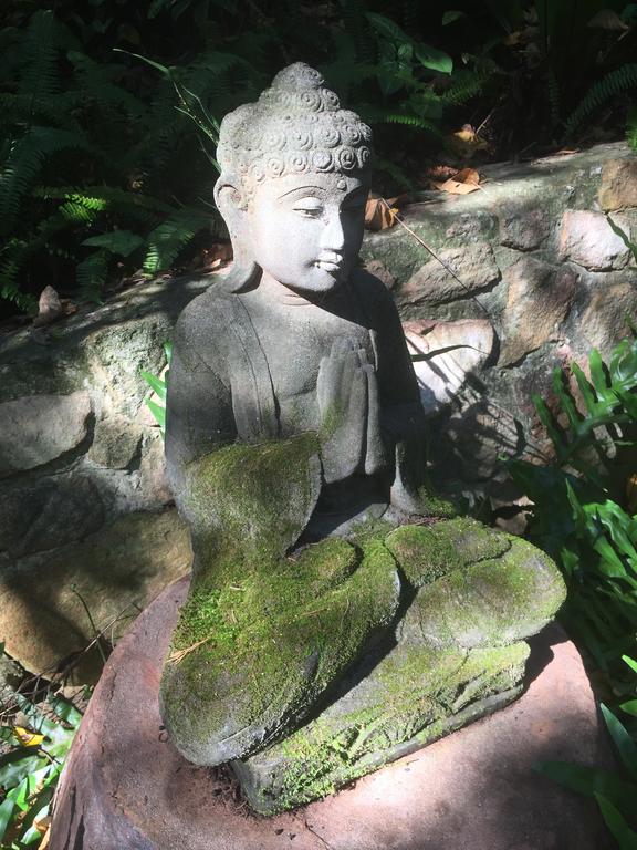 Coolum QLD Yamba Accommodation