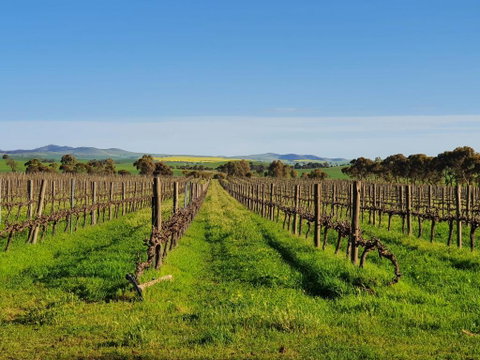 Belalie Wines - Yamba Accommodation 3