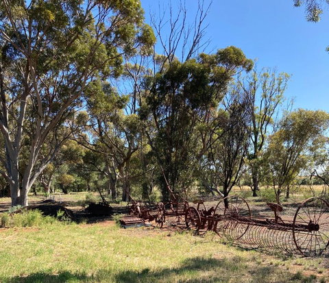 Belalie Wines - Yamba Accommodation 4