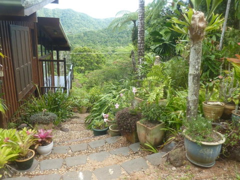 Daintree Holiday Homes - The Folly - Yamba Accommodation 0