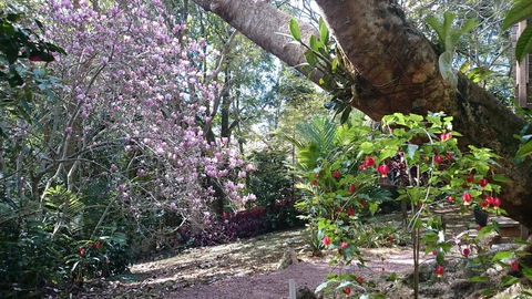 305 Montville - The Artist's Cottage - Yamba Accommodation 3