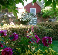 A Country Barn Retreat - Yamba Accommodation