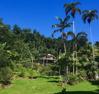 A Daintree Garden - Yamba Accommodation