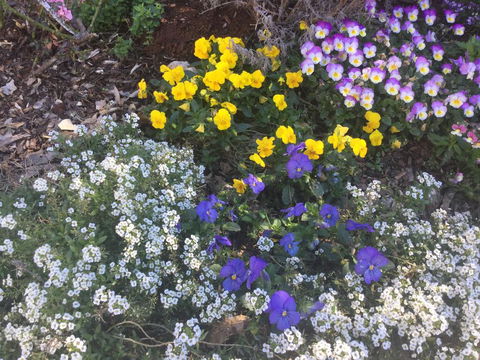 A Very French House - Yamba Accommodation 2