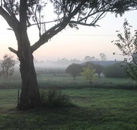 Abington Farm - Yamba Accommodation